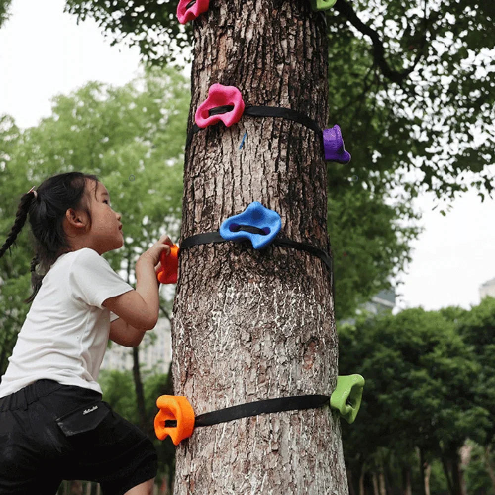 KiddoClimb™️ - Rock Climbing kit